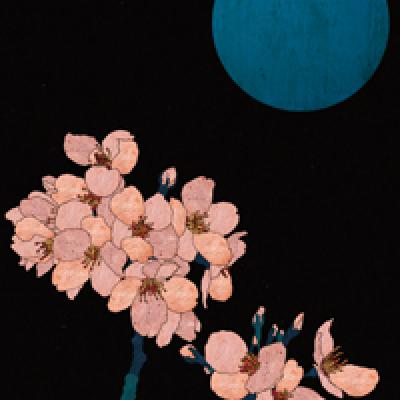 Hana3